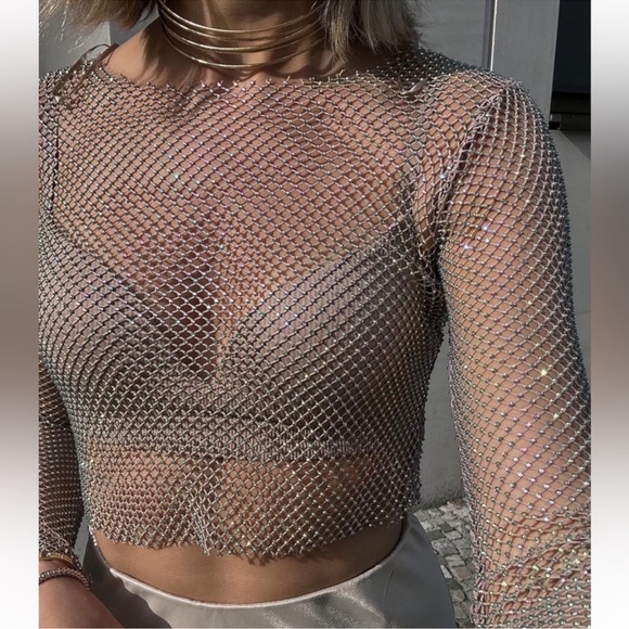 Zara Tops - ZARA ✨SHIMMER MESH CROP TOP ✨